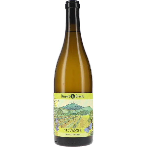 Silvaner Alte Reben Trocken 2024 – Barnert & Drewitz