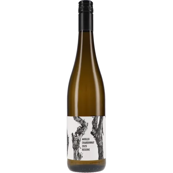 Chardonnay Reserve 2025 – M. Schädler - Steffen Mugler
