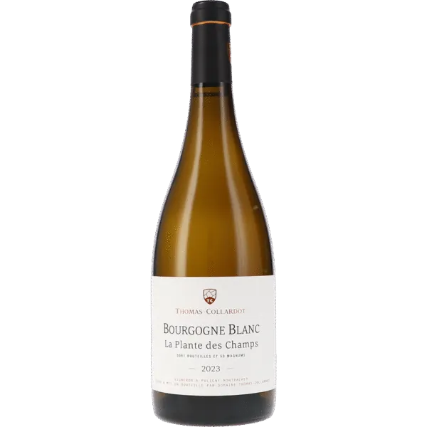 Bourgogne blanc "La Plante des Champs" AOC 2023 – Thomas-Collardot